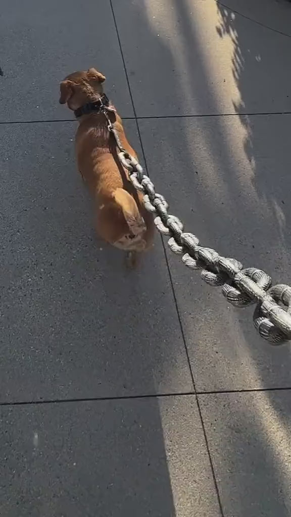 BeastChain Simulated Metal Chain Dog leash