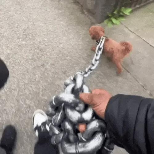 BeastChain Simulated Metal Chain Dog leash