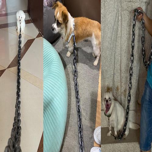 BeastChain Simulated Metal Chain Dog leash