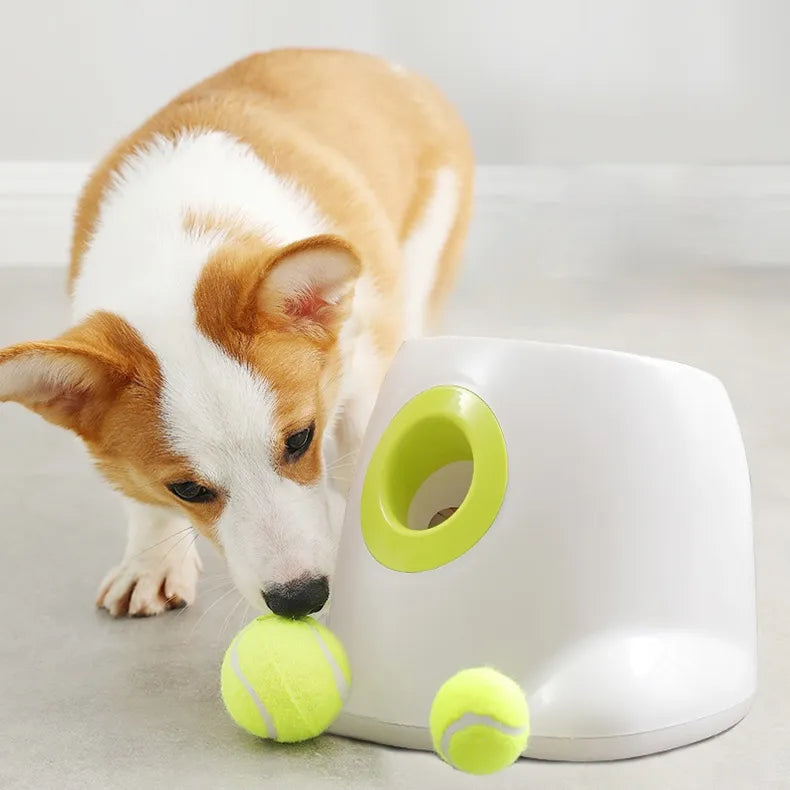 Automatic Ball Launcher for Dogs