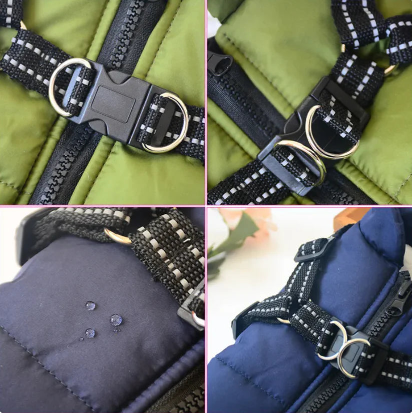 Waterproof Dog Jacket With Harness