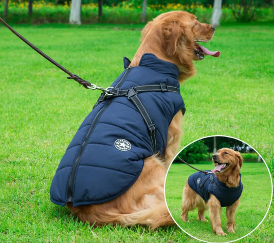 Waterproof Dog Jacket With Harness