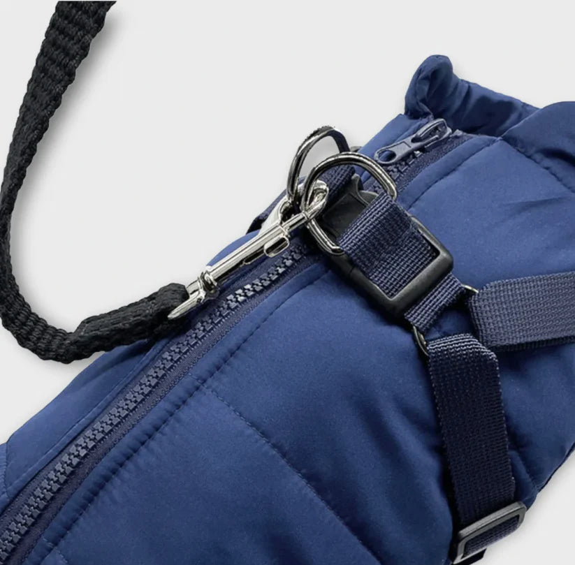 Waterproof Dog Jacket With Harness