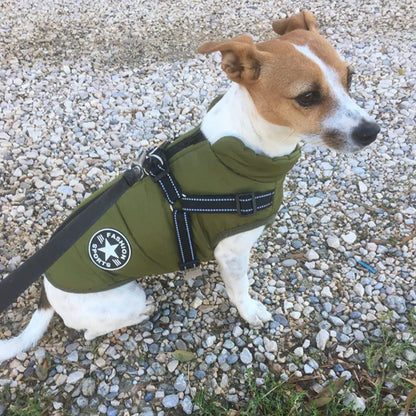 Waterproof Dog Jacket With Harness