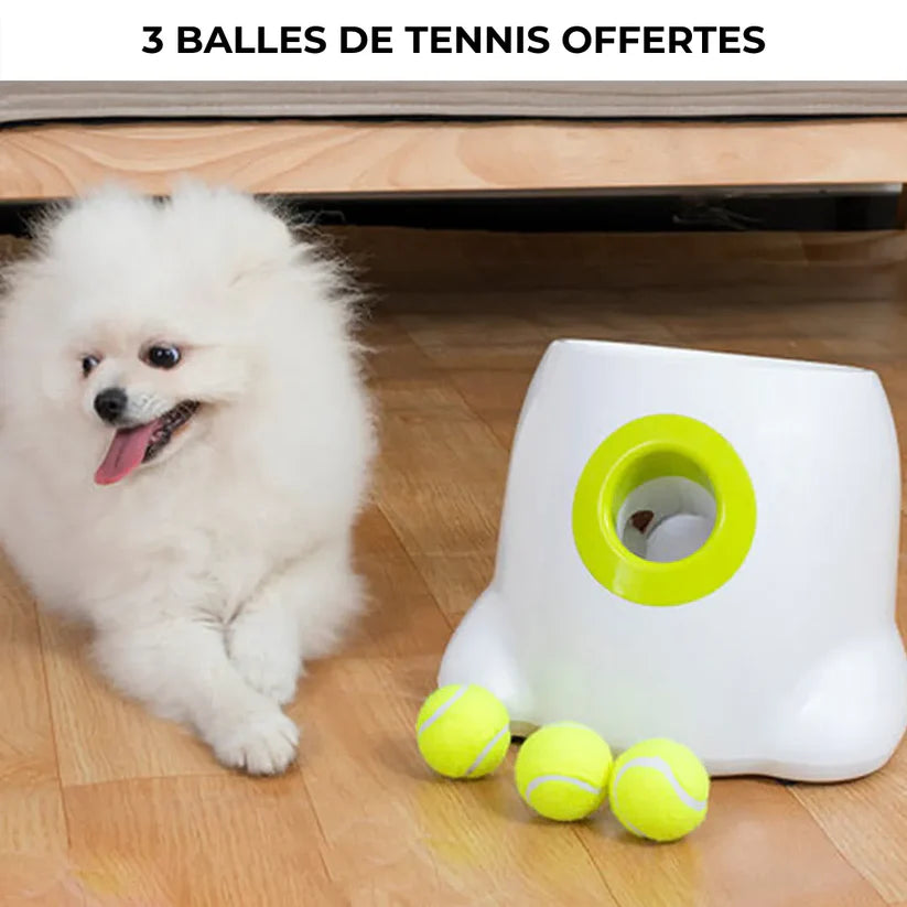 Automatic Ball Launcher for Dogs