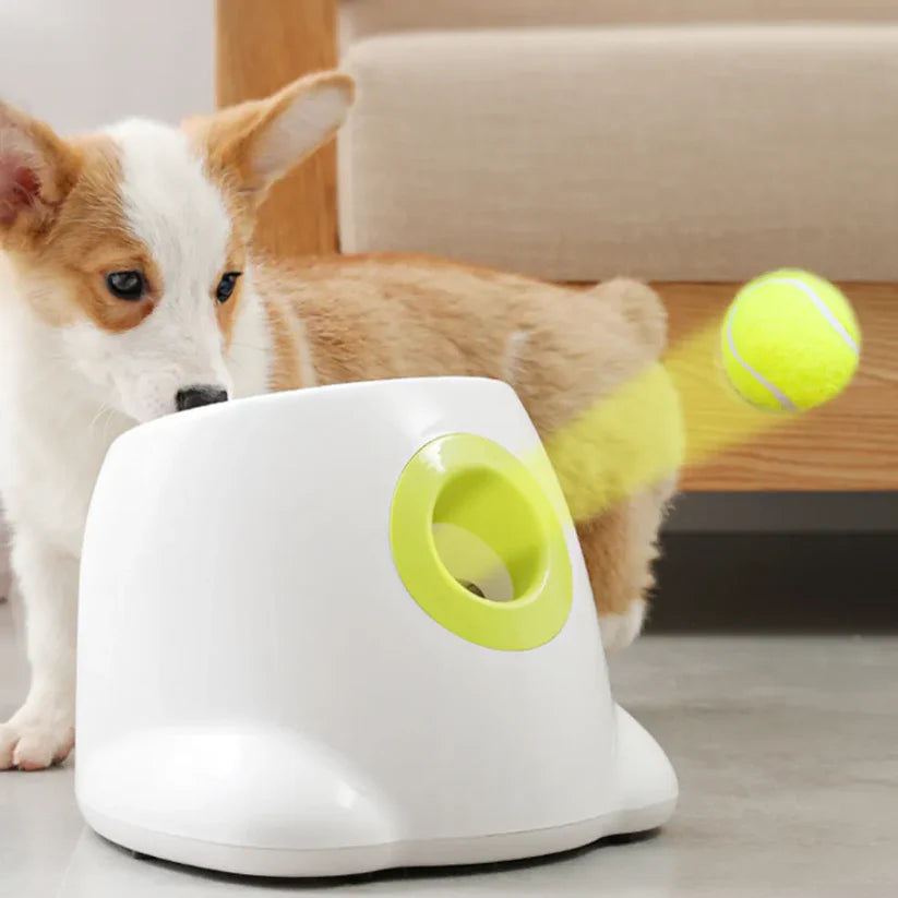 Automatic Ball Launcher for Dogs