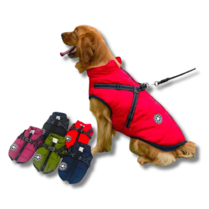 Waterproof Dog Jacket With Harness