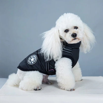 Waterproof Dog Jacket With Harness